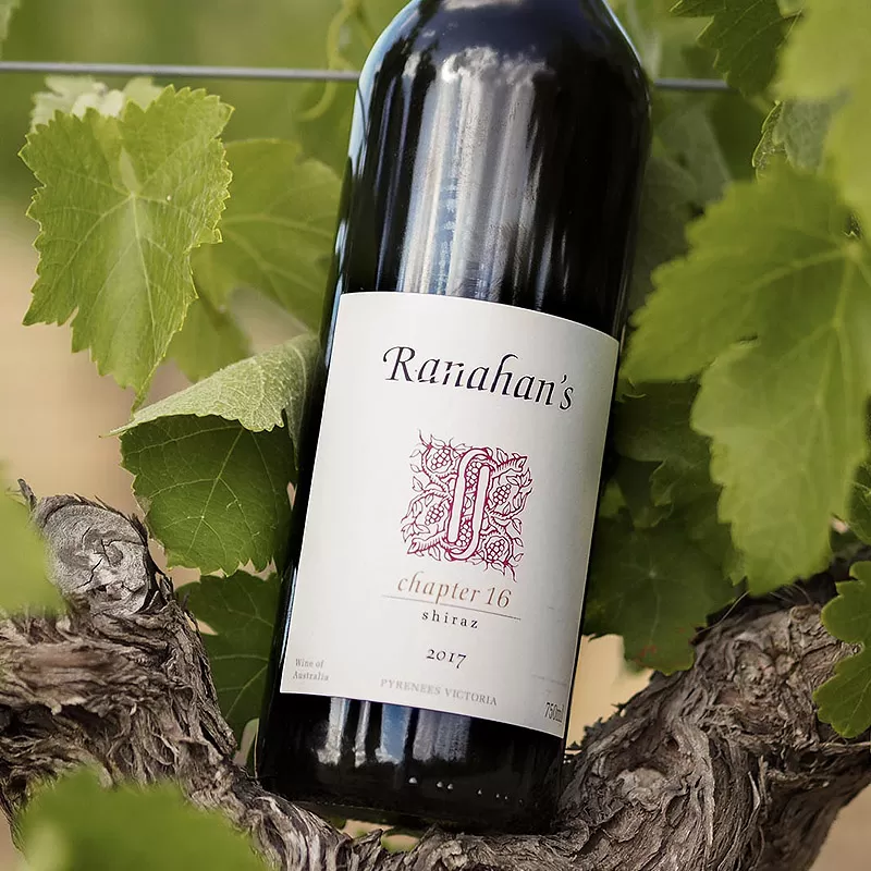 Ranahanahan's Shiraz Chapter 16 - redbank-pyrenees